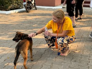 Street_Dog_Thailand