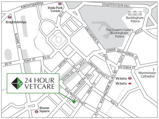 ESVC-24-Hour-Vets