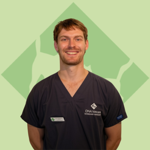 Harry – BVSc MRCVS